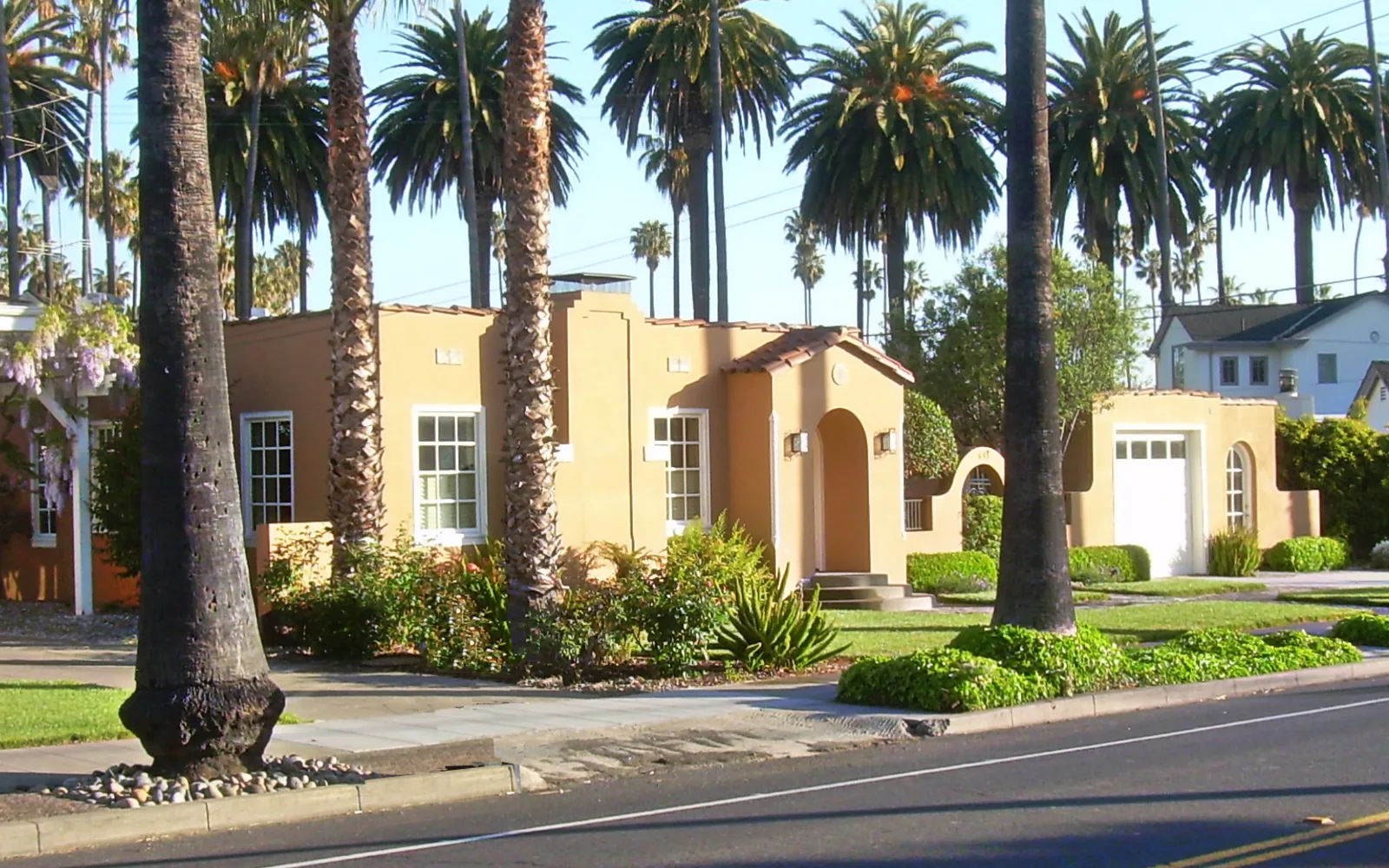 A residential street lined with mature palm trees and leafy vegetation